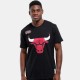 NBA Team Logo Tee - Chicago Bulls