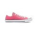 CONVERSE CHUCK TAYLOR ALL STAR PET CANVAS SEASONAL COLOR