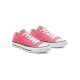 CONVERSE CHUCK TAYLOR ALL STAR PET CANVAS SEASONAL COLOR