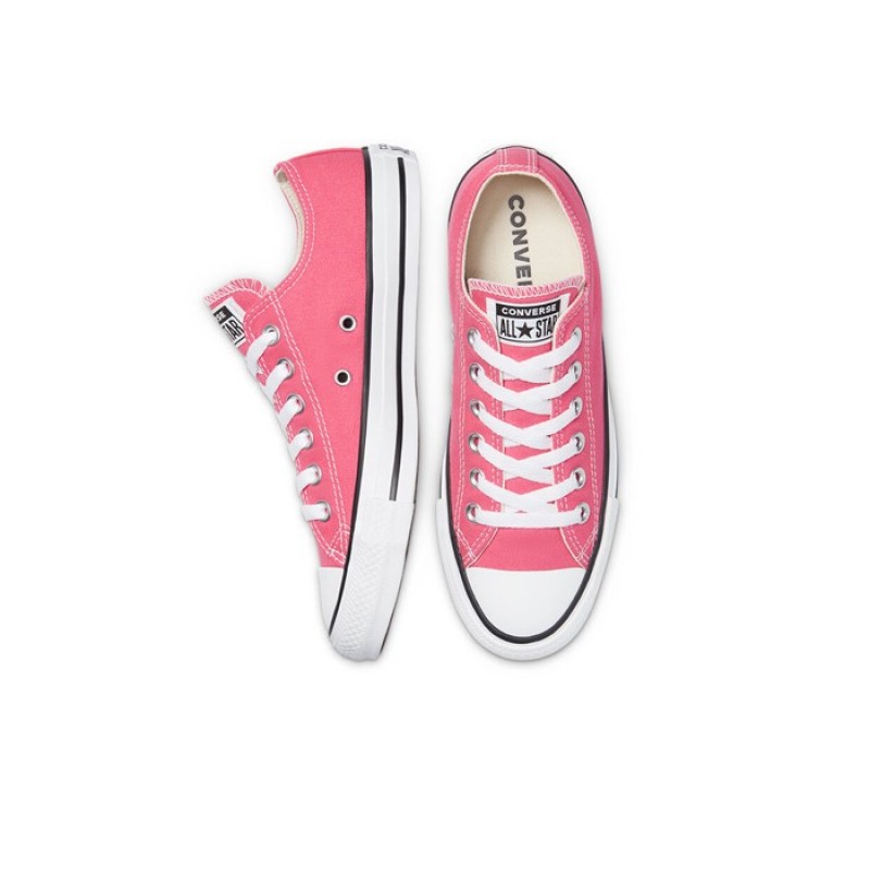 CONVERSE CHUCK TAYLOR ALL STAR PET CANVAS SEASONAL COLOR